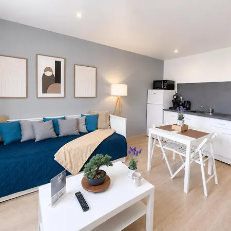 Appartement L'atelier Des Carmes Pamiers